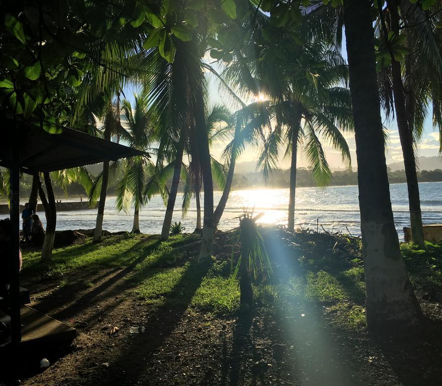 Mi Casa Hostel Y Hotel El Tesoro Puerto Viejo de Talamanca Ngoại thất bức ảnh